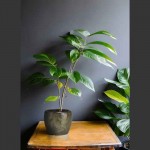 Keramični lonec Home Gardens 925.006.15